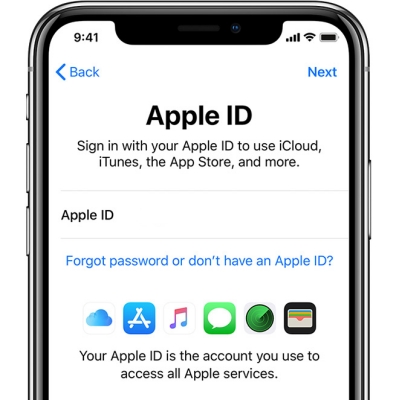 enter apple id again