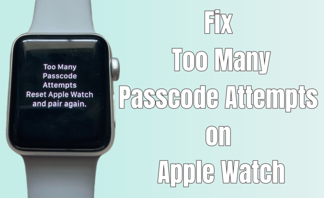 fix too many passcode attempts on apple watch