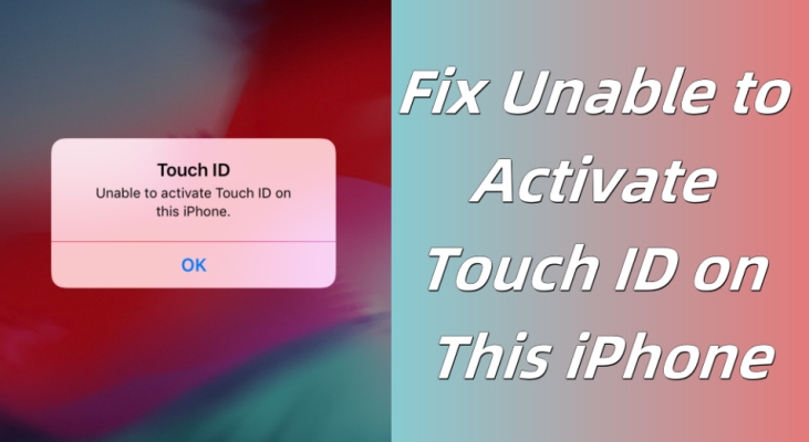 fix unable to activate touch id on this iphone