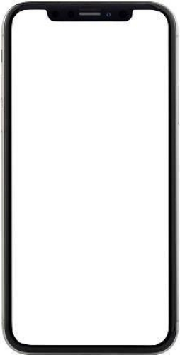 iphone complete white screen