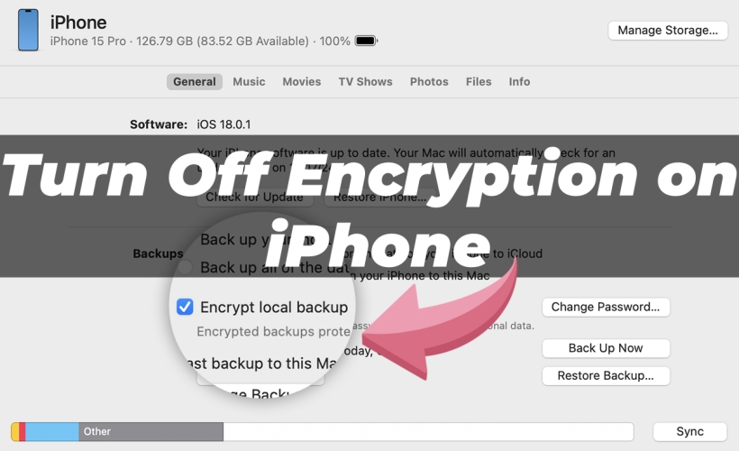 turn off encryption on iphone