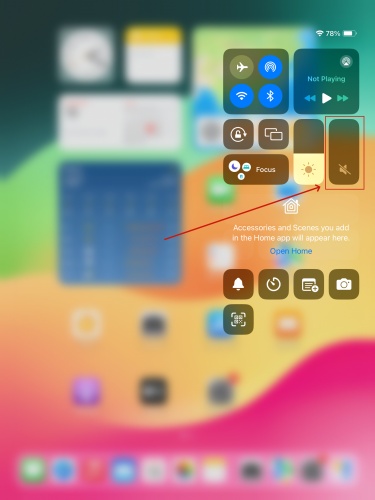 turn volume down on ipad