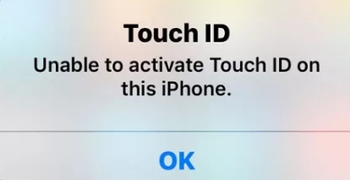 unable to activate touch id